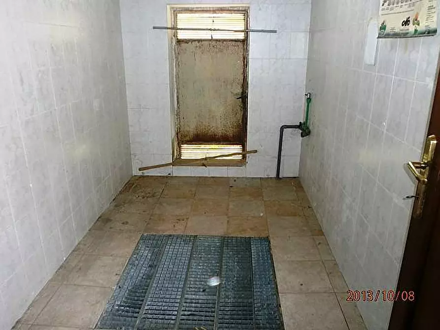 Immagine 6 di Locale commerciale in affitto  a Vicopisano