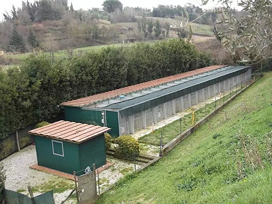 Immagine 19 di Rustico / casale in vendita  a Crespina Lorenzana