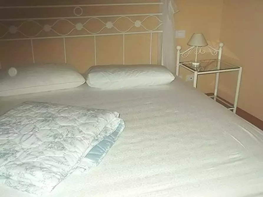 Immagine 18 di Terratetto in vendita  a Palaia