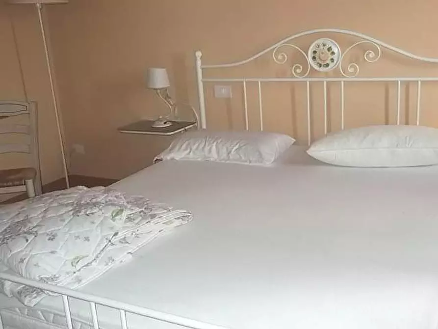 Immagine 20 di Terratetto in vendita  a Palaia