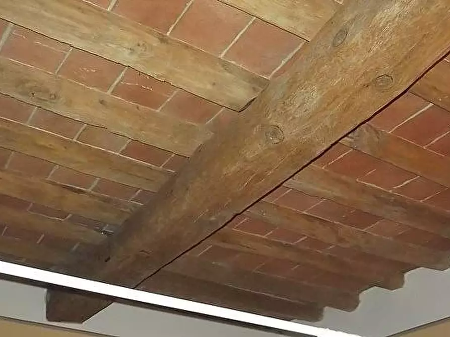 Immagine 19 di Terratetto in vendita  a Palaia