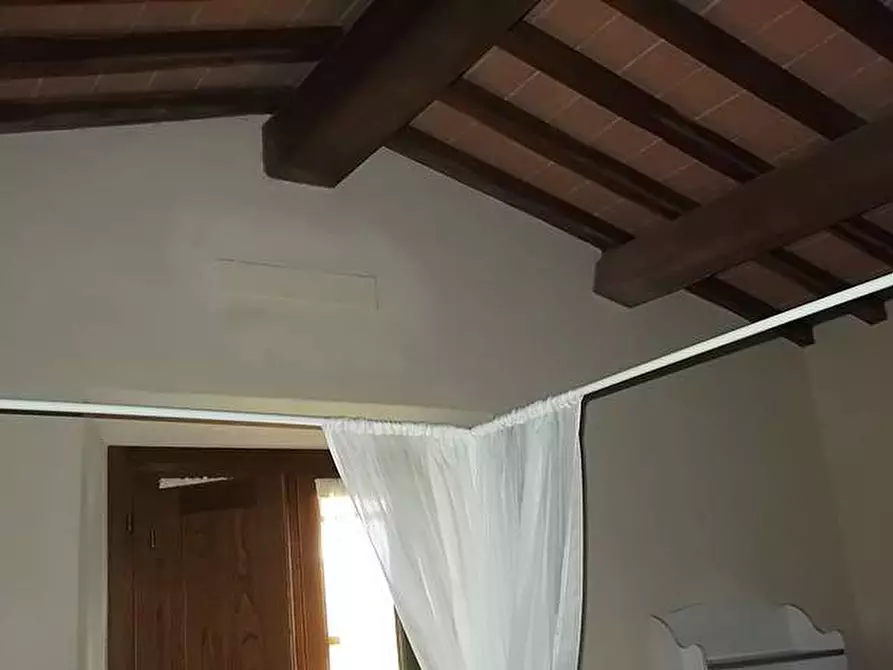 Immagine 13 di Appartamento in vendita  a Palaia