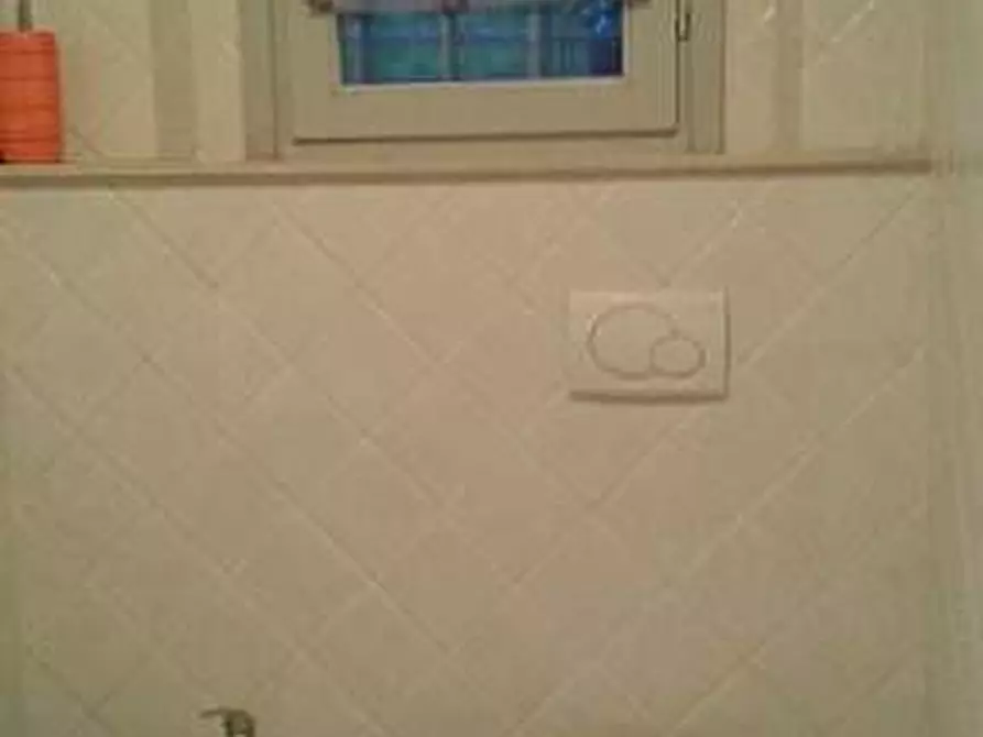 Immagine 10 di Appartamento in affitto  a Vicopisano