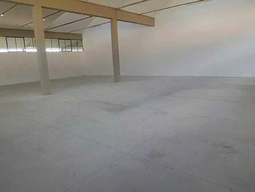 Immagine 4 di Attività artigianale in affitto  a Vicopisano