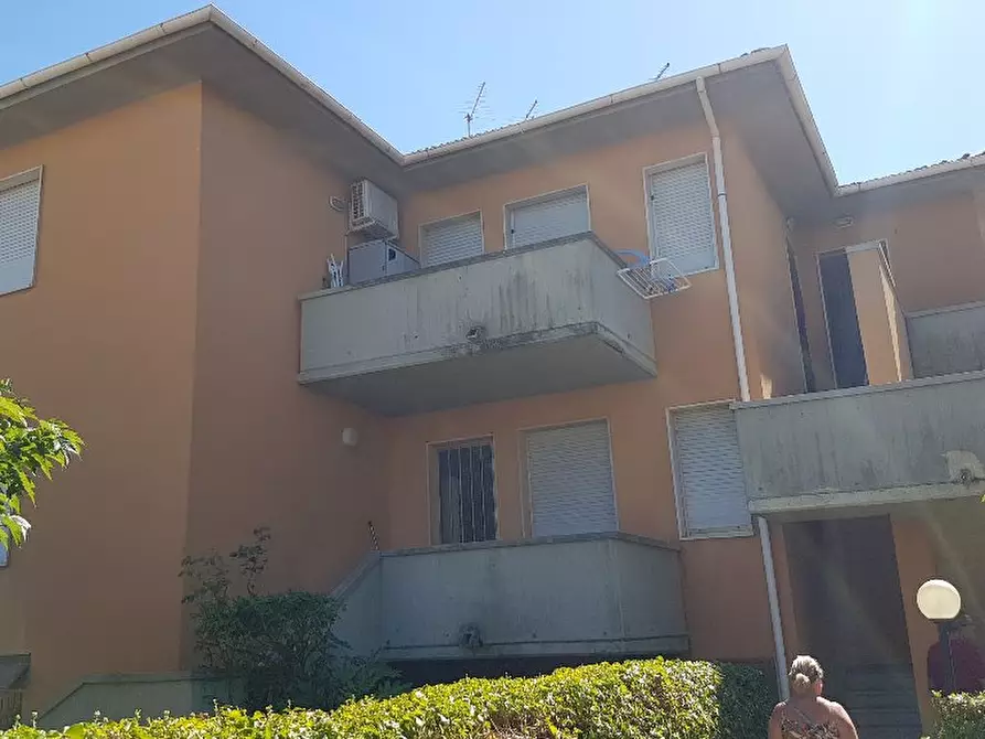 Immagine 2 di Appartamento in vendita  a Rosignano Marittimo