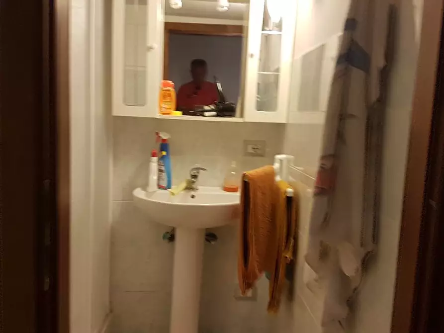 Immagine 9 di Appartamento in vendita  a Rosignano Marittimo