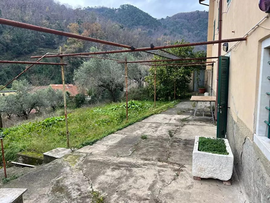 Immagine 10 di Villa in vendita  a Carrara
