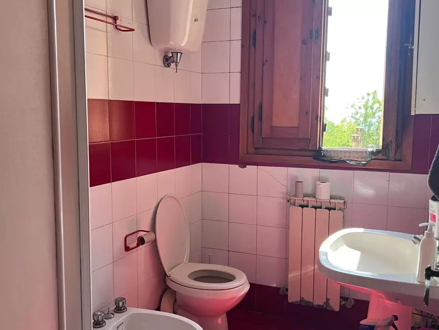 Immagine 4 di Appartamento in affitto  a Siena