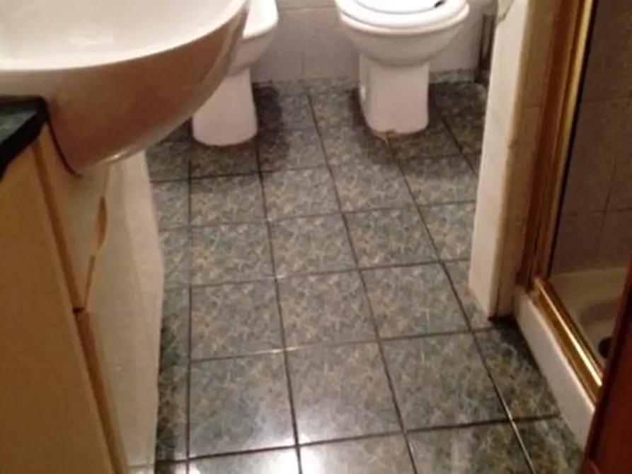 Immagine 2 di Appartamento in vendita  a Carrara