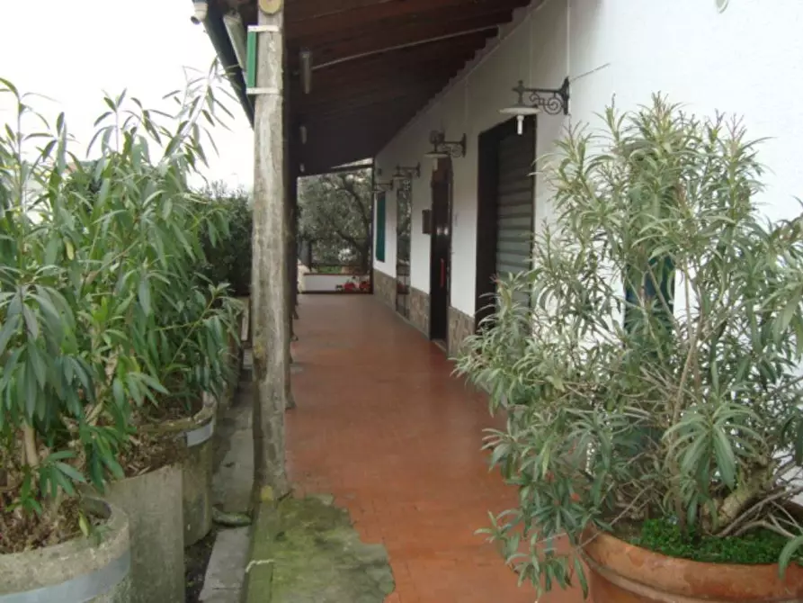 Immagine 25 di Locale commerciale in vendita  a Monsummano Terme