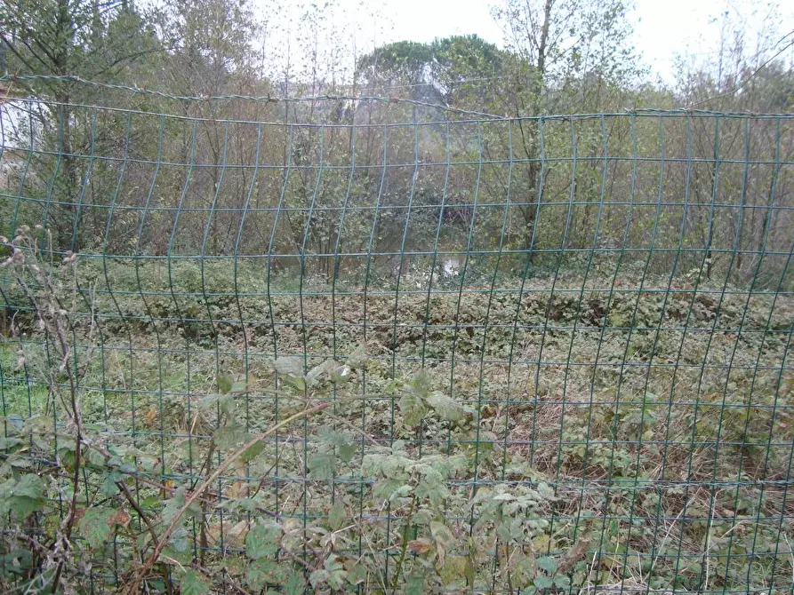 Immagine 11 di Rustico / casale in vendita  a Lamporecchio