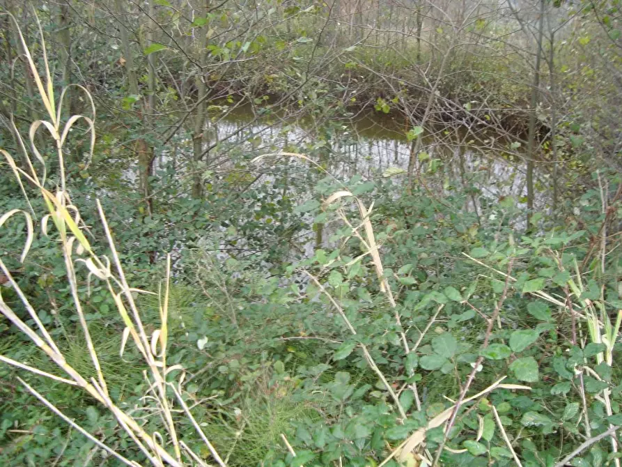 Immagine 12 di Rustico / casale in vendita  a Lamporecchio