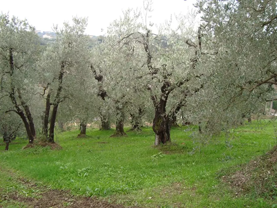 Immagine 9 di Rustico / casale in vendita  a Lamporecchio