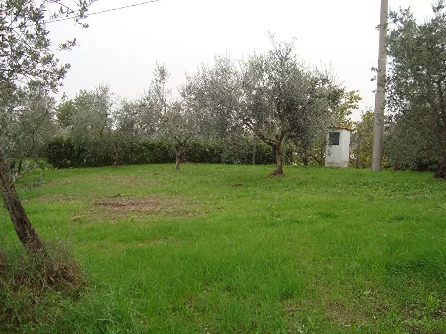 Immagine 8 di Rustico / casale in vendita  a Lamporecchio