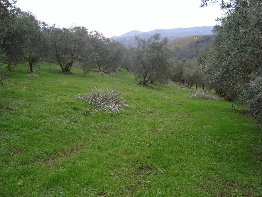 Immagine 10 di Rustico / casale in vendita  a Lamporecchio