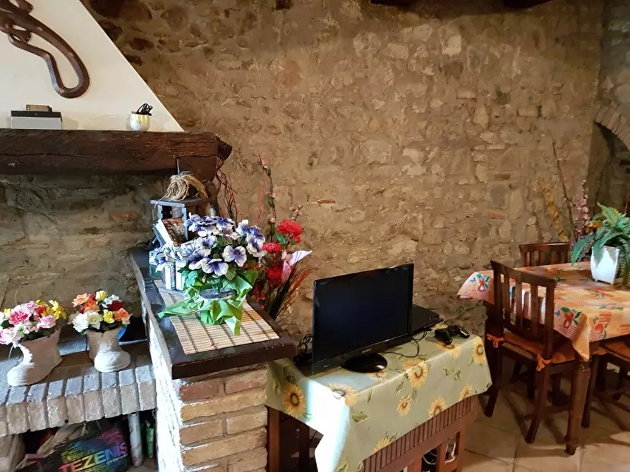 Immagine 7 di Appartamento in vendita  a Monticiano