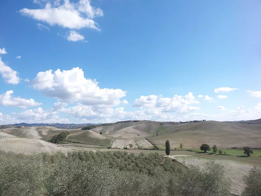 Immagine 44 di Casa colonica in vendita  a Castelfiorentino