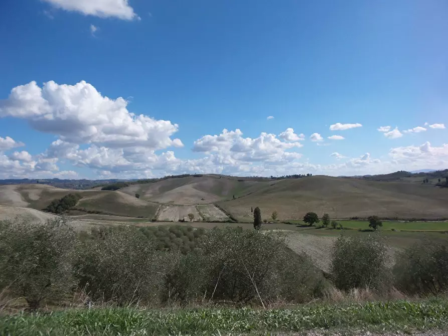 Immagine 45 di Casa colonica in vendita  a Castelfiorentino