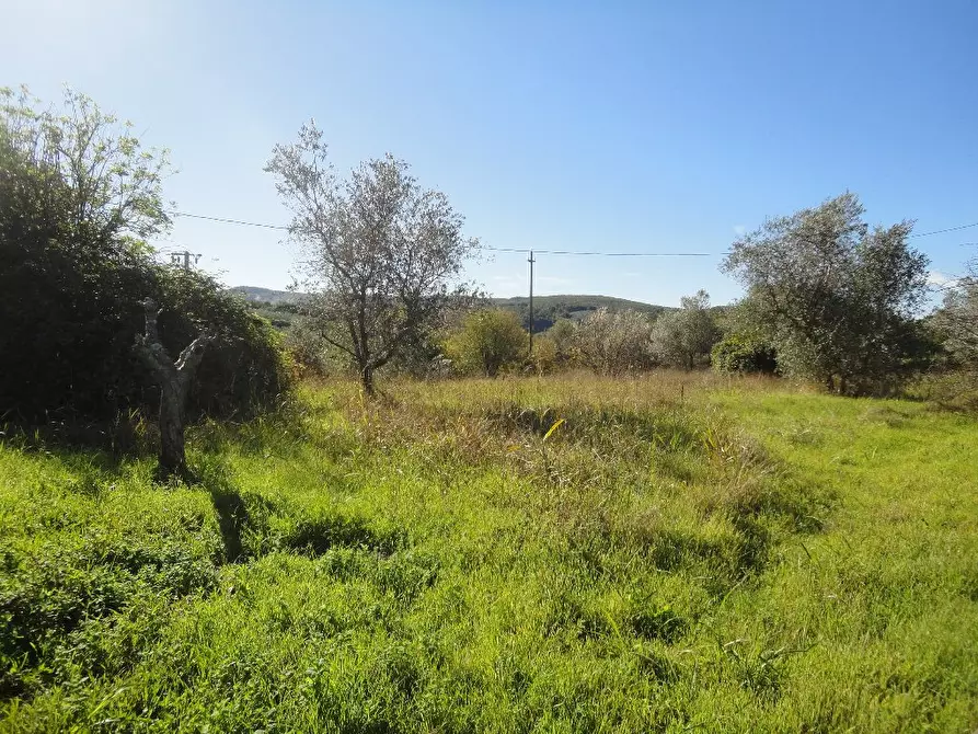 Immagine 1 di Terreno residenziale in vendita  a Casciana Terme Lari