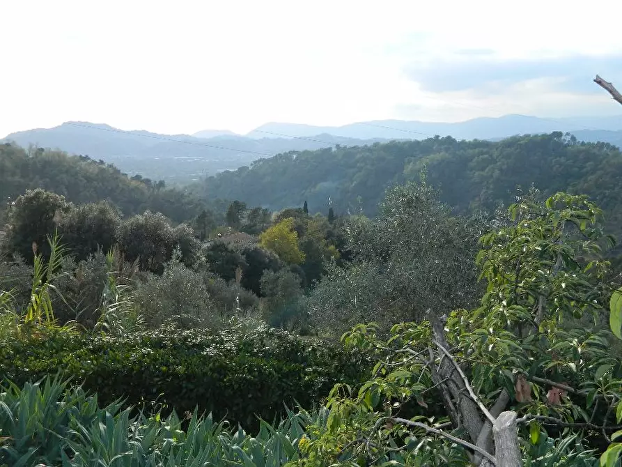 Immagine 4 di Villa in vendita  a Sarzana
