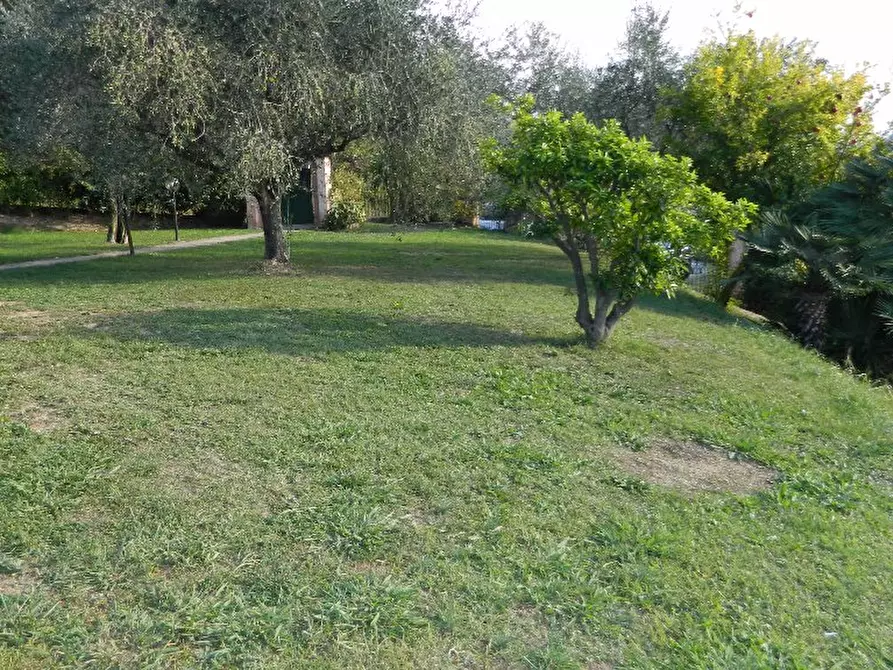 Immagine 3 di Villa in vendita  a Sarzana