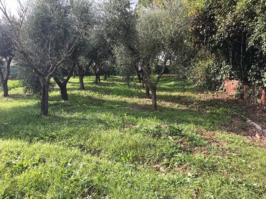 Immagine 4 di Terreno residenziale in vendita  a Pontedera