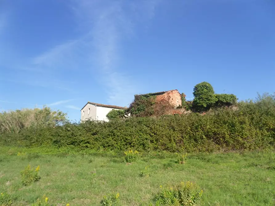 Immagine 7 di Rustico / casale in vendita  a Montecarlo