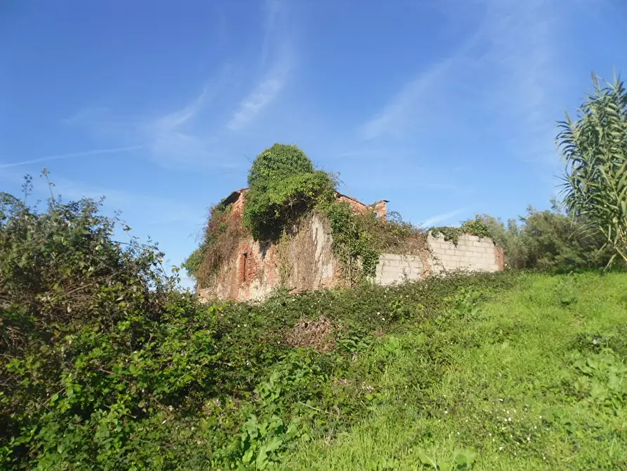 Immagine 8 di Rustico / casale in vendita  a Montecarlo