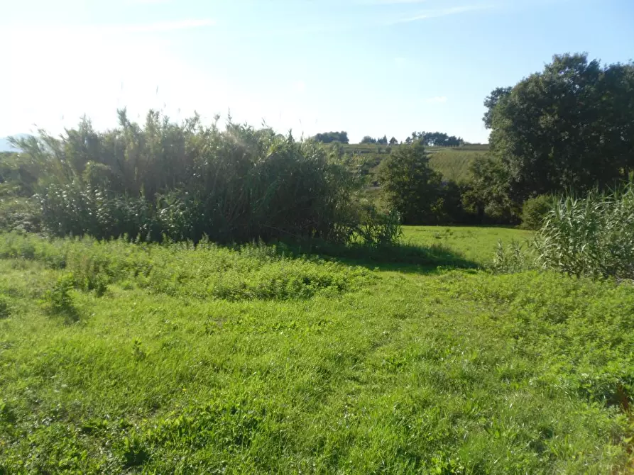 Immagine 3 di Rustico / casale in vendita  a Montecarlo