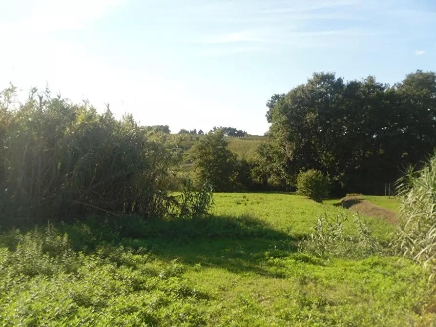 Immagine 4 di Rustico / casale in vendita  a Montecarlo