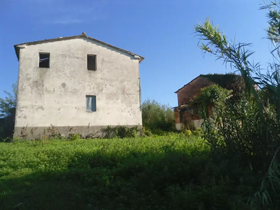 Immagine 5 di Rustico / casale in vendita  a Montecarlo