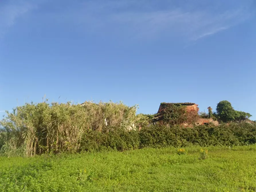 Immagine 6 di Rustico / casale in vendita  a Montecarlo