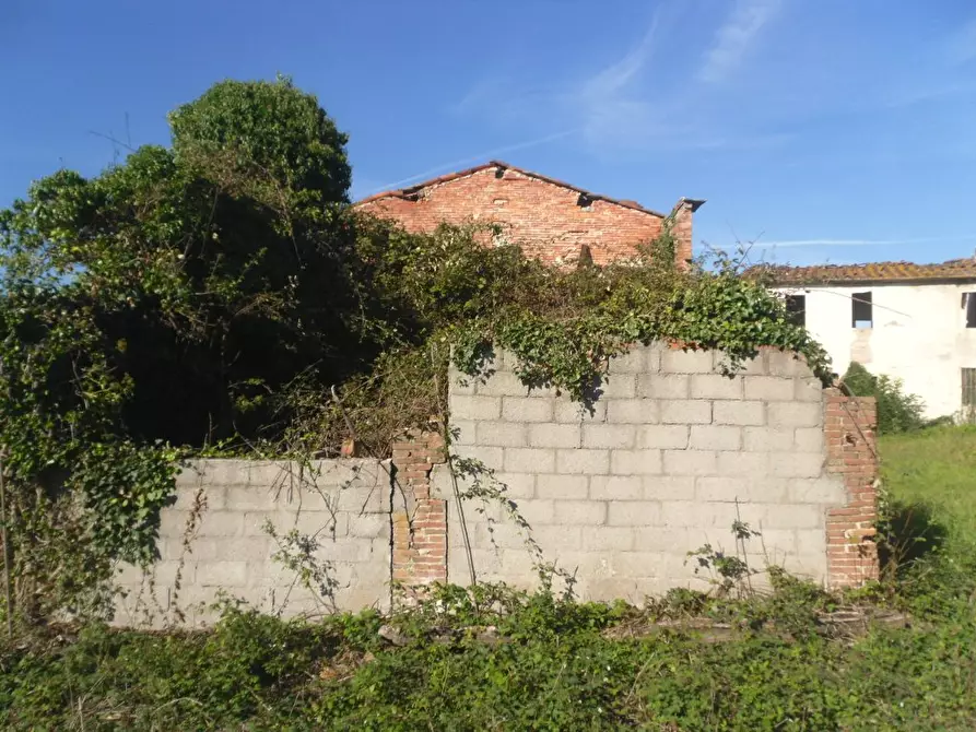 Immagine 10 di Rustico / casale in vendita  a Montecarlo