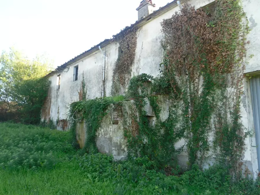 Immagine 2 di Rustico / casale in vendita  a Montecarlo