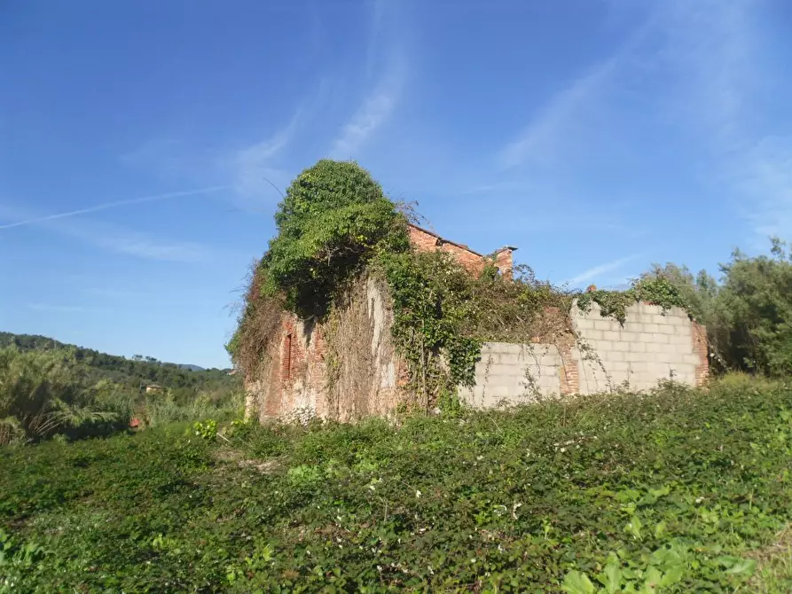Immagine 9 di Rustico / casale in vendita  a Montecarlo