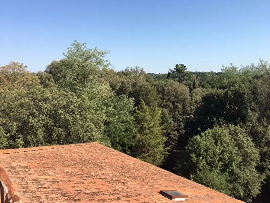 Immagine 21 di Villa in vendita  a Pontedera