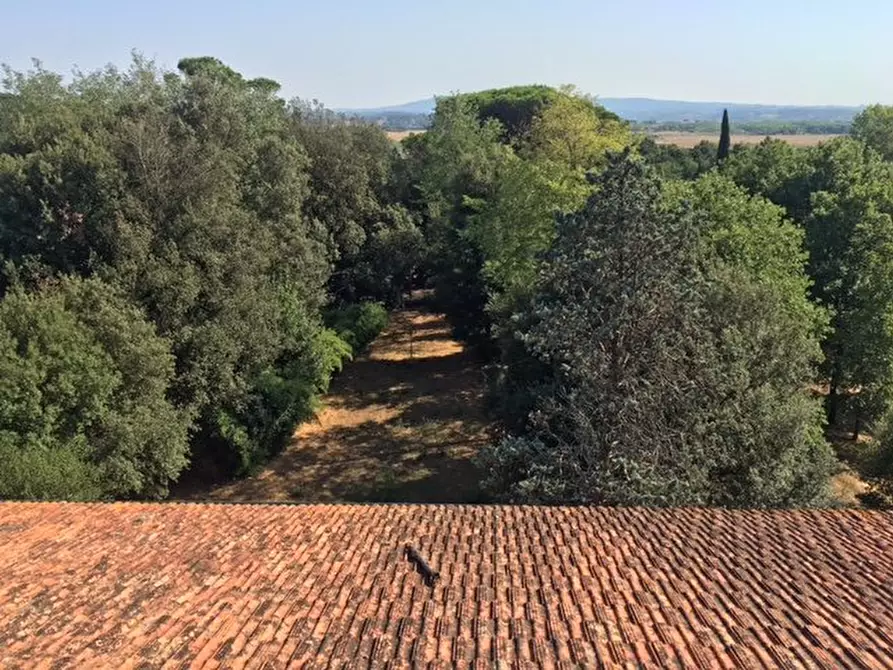 Immagine 20 di Villa in vendita  a Pontedera