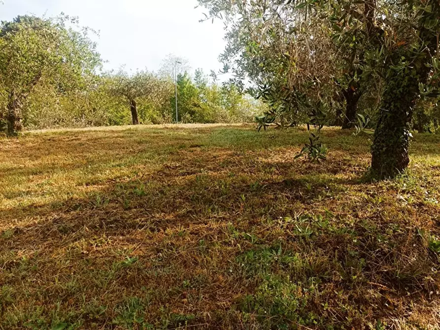 Immagine 9 di Locale commerciale in vendita  a Borgo A Mozzano