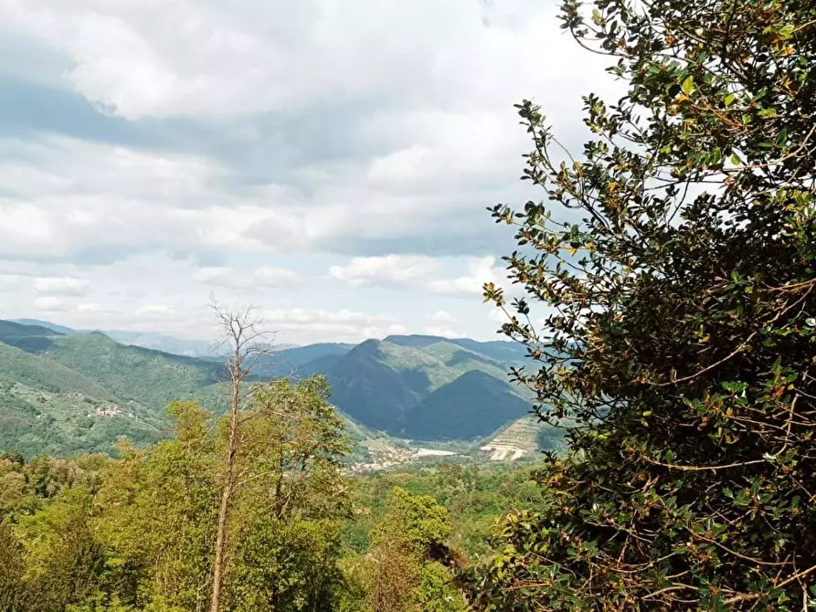 Immagine 11 di Locale commerciale in vendita  a Borgo A Mozzano