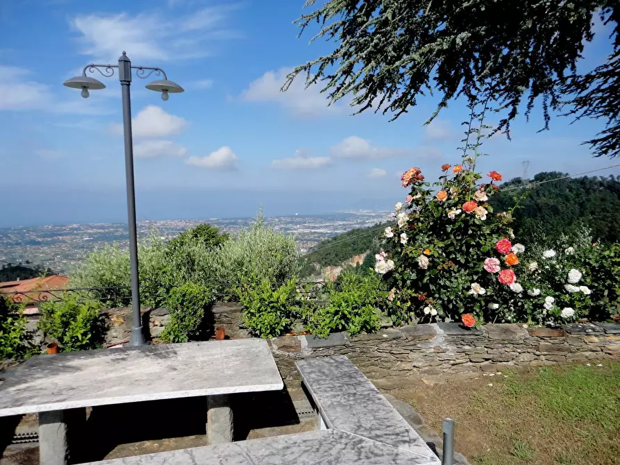 Immagine 5 di Villa in vendita  a Montignoso