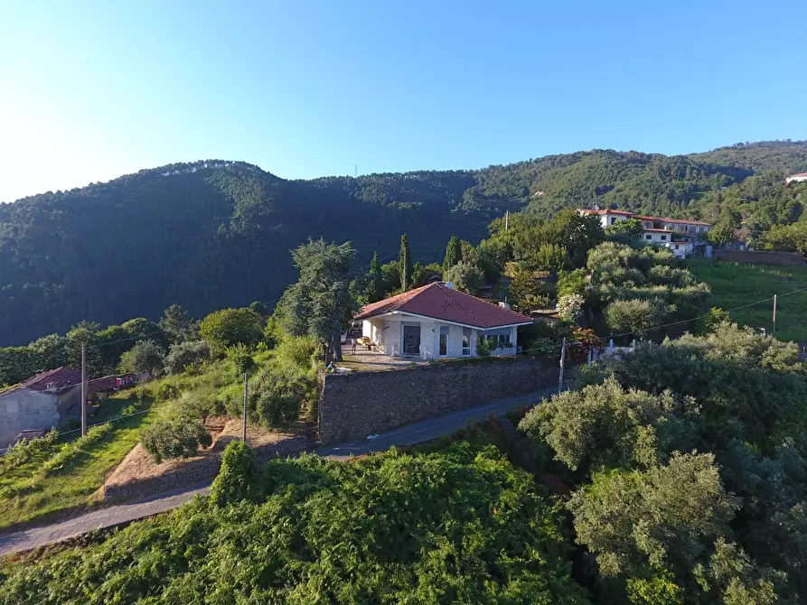 Immagine 2 di Villa in vendita  a Montignoso