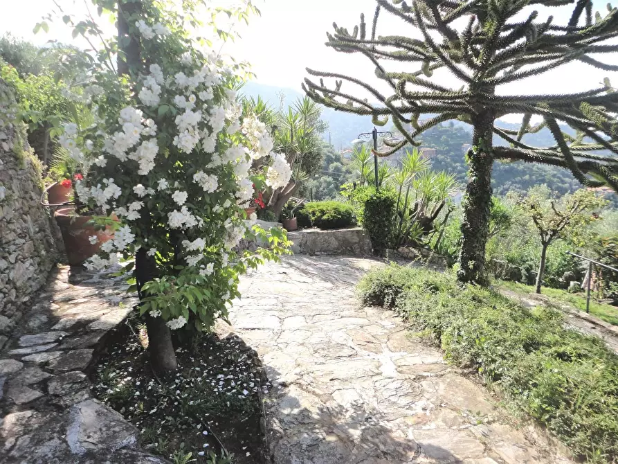 Immagine 60 di Villa in vendita  a Montignoso