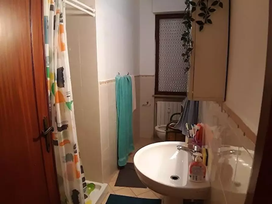 Immagine 15 di Appartamento in affitto  a Pisa