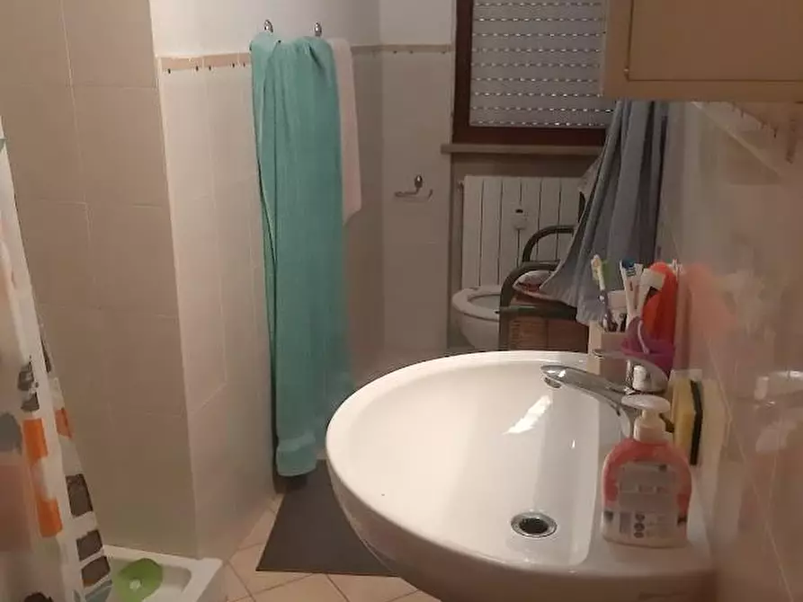 Immagine 16 di Appartamento in affitto  a Pisa