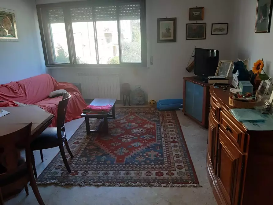 Immagine 23 di Appartamento in affitto  a Pisa