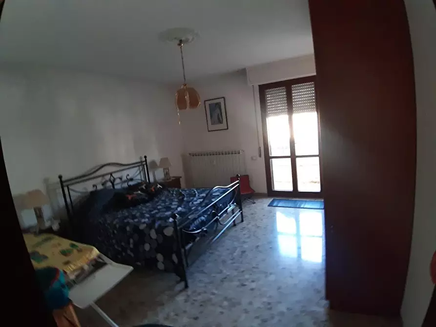 Immagine 10 di Appartamento in affitto  a Pisa