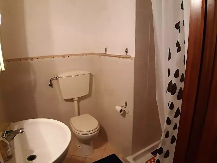 Immagine 19 di Appartamento in affitto  a Pisa