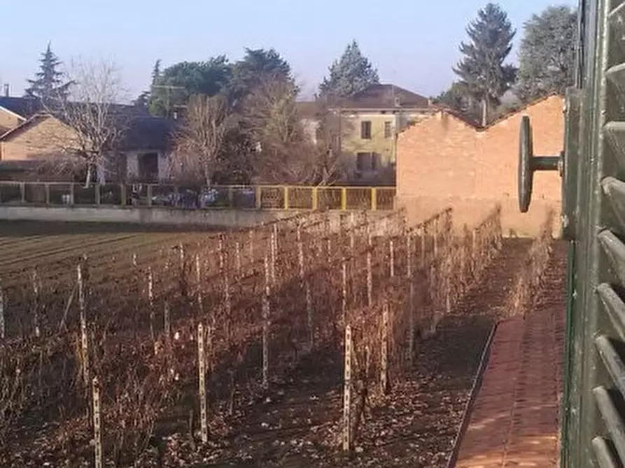 Immagine 6 di Casa colonica in vendita  a Castelnuovo Bormida