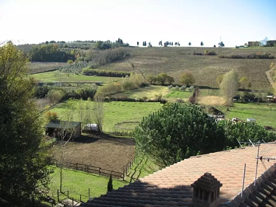 Immagine 3 di Rustico / casale in vendita  a Capannoli