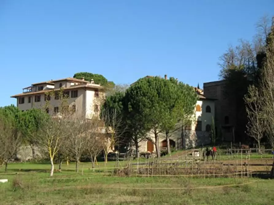 Immagine 4 di Rustico / casale in vendita  a Capannoli